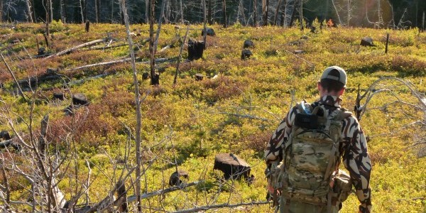 Another evening spent locating spring black bear.