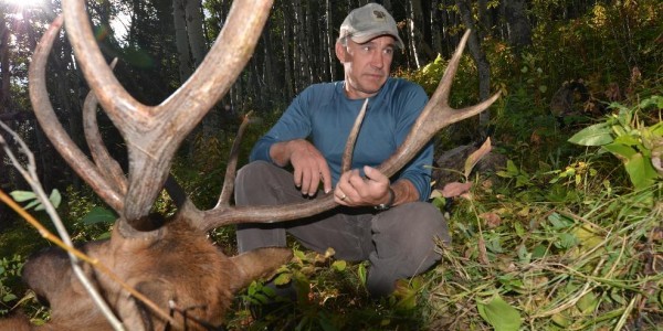 Mikes Elk 2