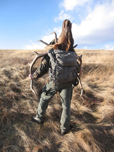 Hunter carrying large antlers in open field