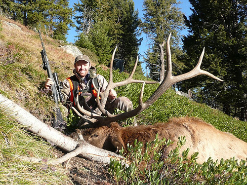 Hunter posing with elk in forest landscape