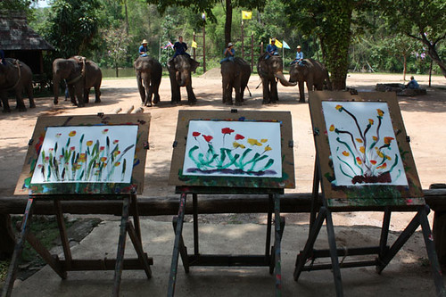elephant-flowers