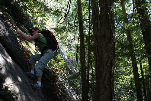 Person rock climbing in a forest landscape