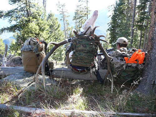 jeff-cook-elk-2008-6144