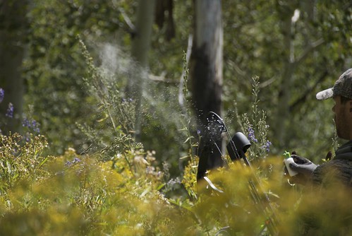 Keeping the wind in your face