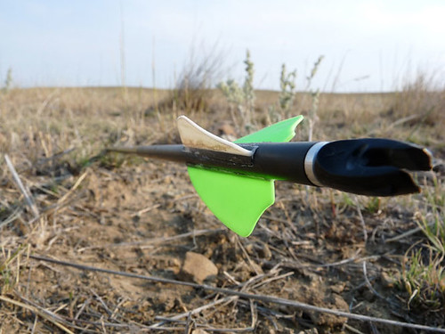 20090831DRAKE_ANTELOPE014