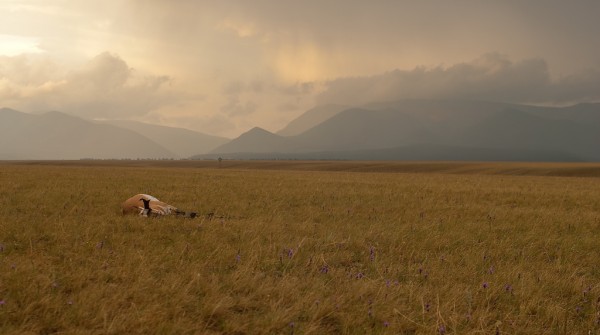 2010 Montana Archery Antelope Hunt – VIDEO