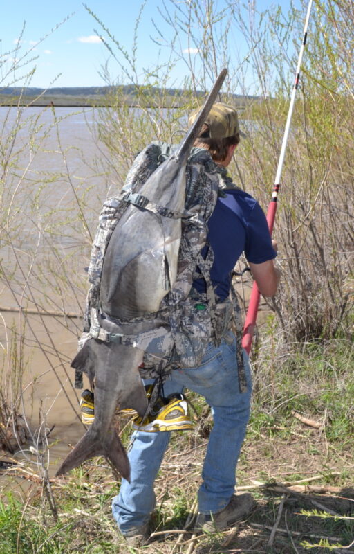 Fisherman carrying large fish by riverbank