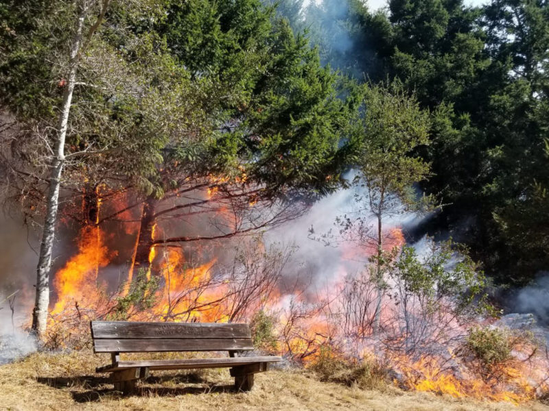 Reintroducing Fire: A First-Entry Prescribed Burn on Marin County’s Private Lands