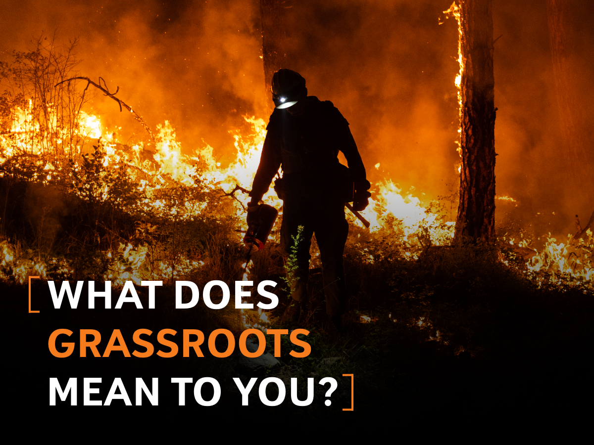What Does Grassroots Mean to You?