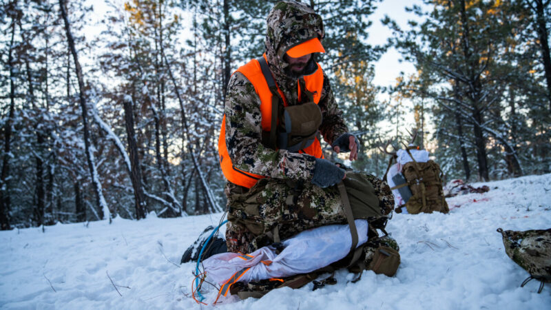 Hunter packing out an animal with a backpack