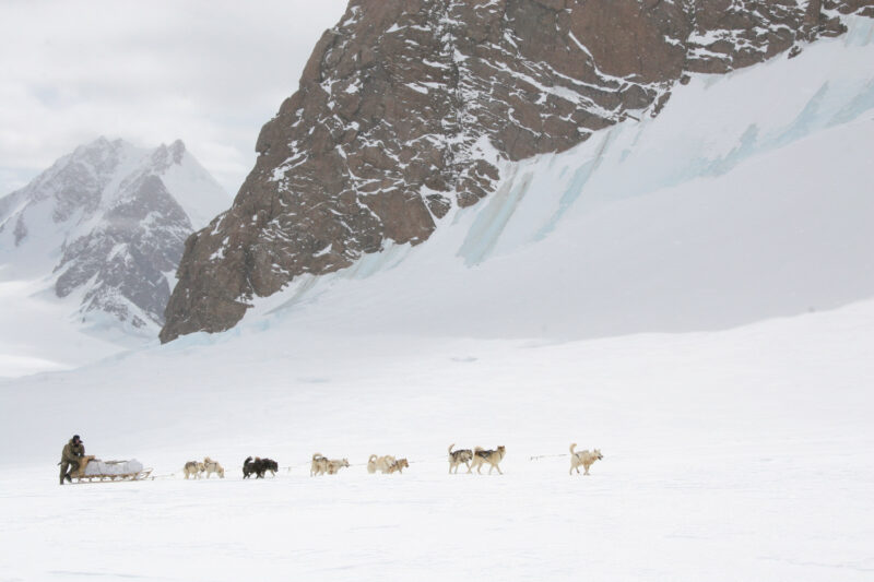 Glacier ramp. John Huston and his dog team heading up a glacier near Mt. Forel in easter Greenland. “It was a relatively warm day, so we nicknamed the glacier Hot Dog Glacier.” Credit: Keo Films/BBC