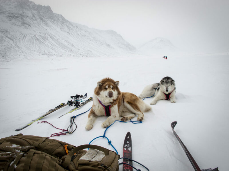 Taking a breather on Baffin Island in 2019.